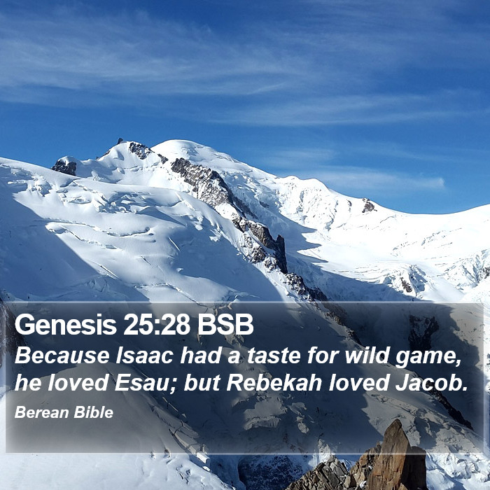 Genesis 25:28 BSB Bible Study