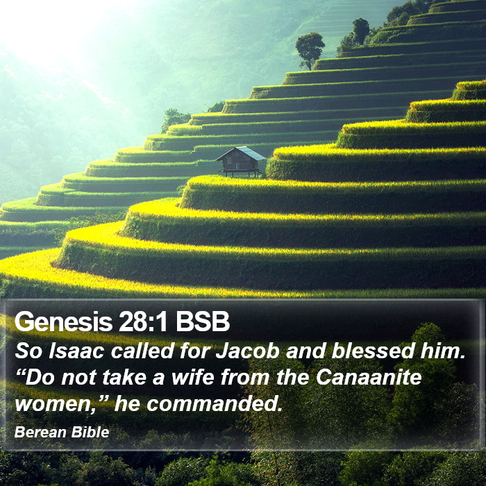 Genesis 28:1 BSB Bible Study