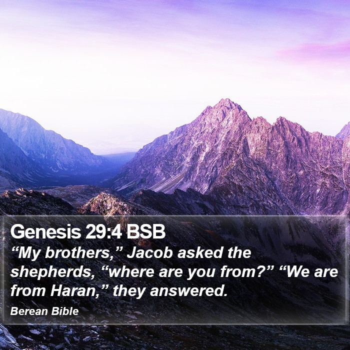 Genesis 29:4 BSB Bible Study