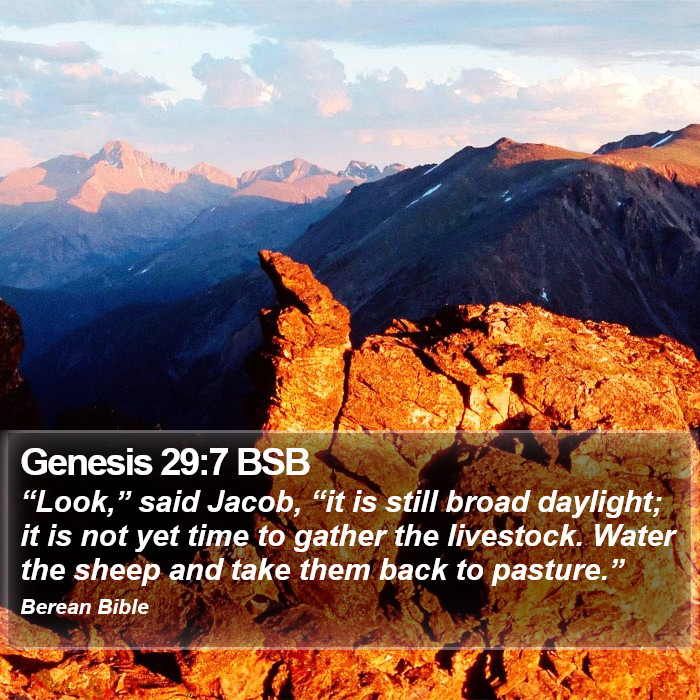 Genesis 29:7 BSB Bible Study