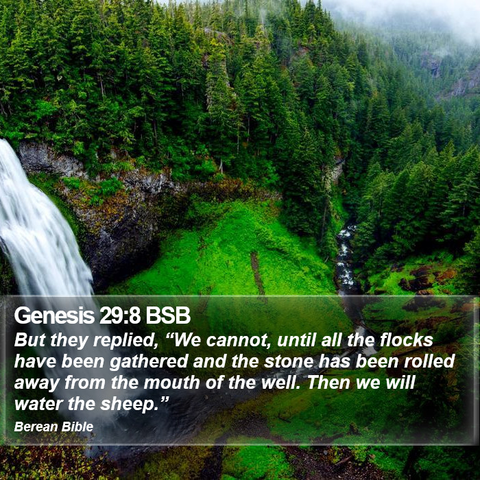 Genesis 29:8 BSB Bible Study