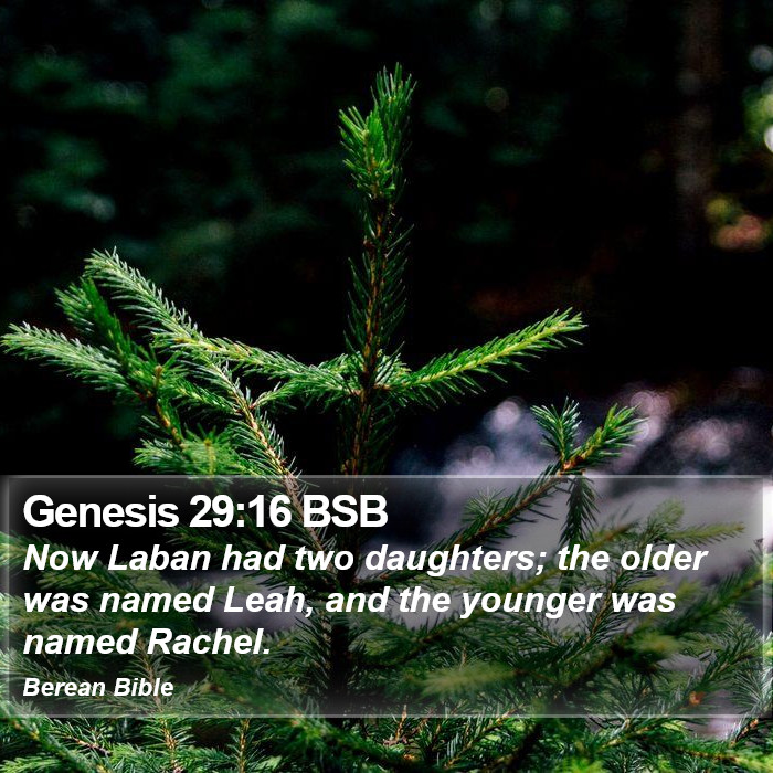 Genesis 29:16 BSB Bible Study