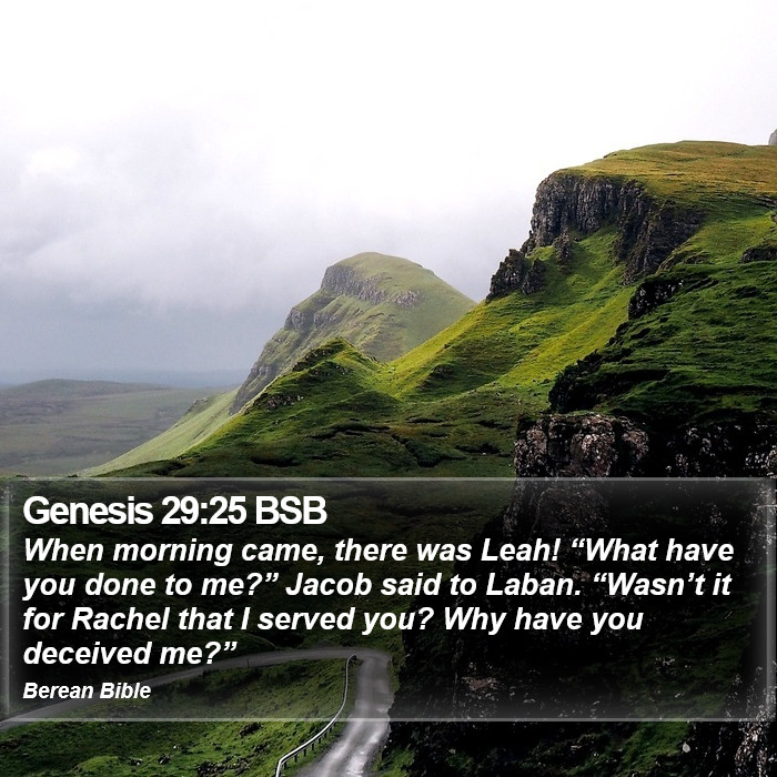 Genesis 29:25 BSB Bible Study