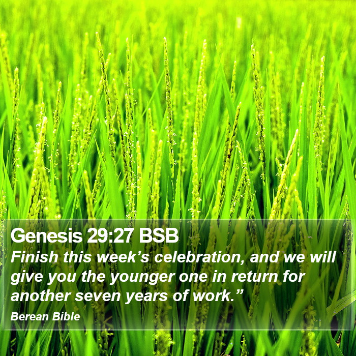 Genesis 29:27 BSB Bible Study