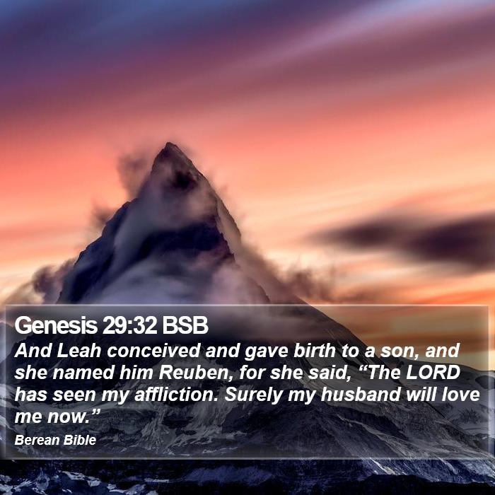 Genesis 29:32 BSB Bible Study