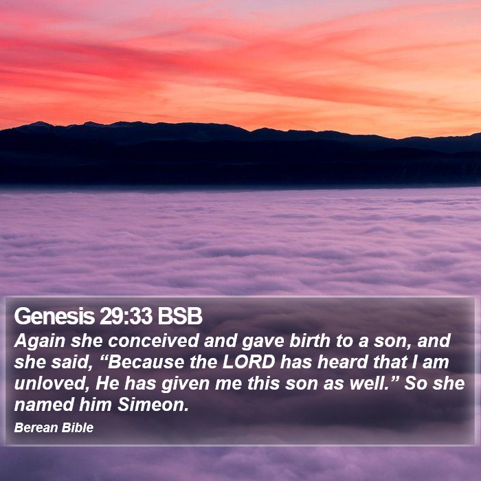 Genesis 29:33 BSB Bible Study