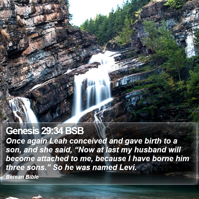 Genesis 29:34 BSB Bible Study