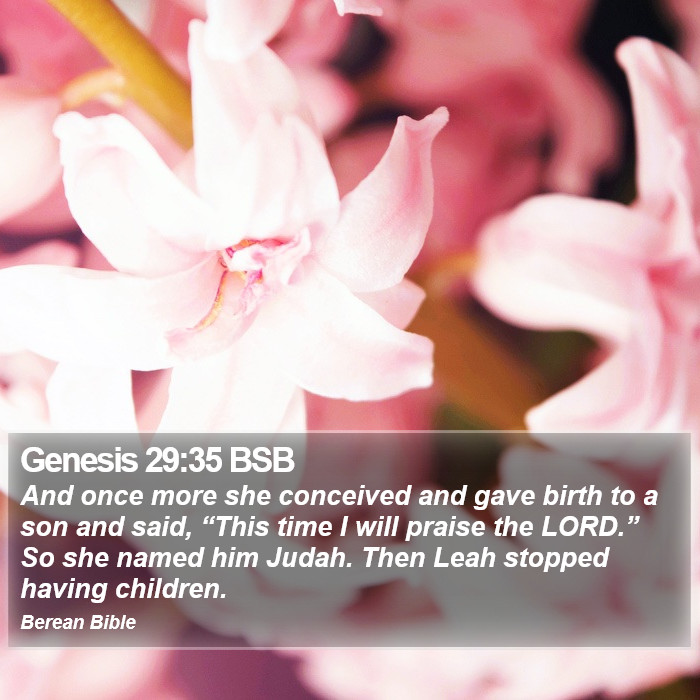 Genesis 29:35 BSB Bible Study