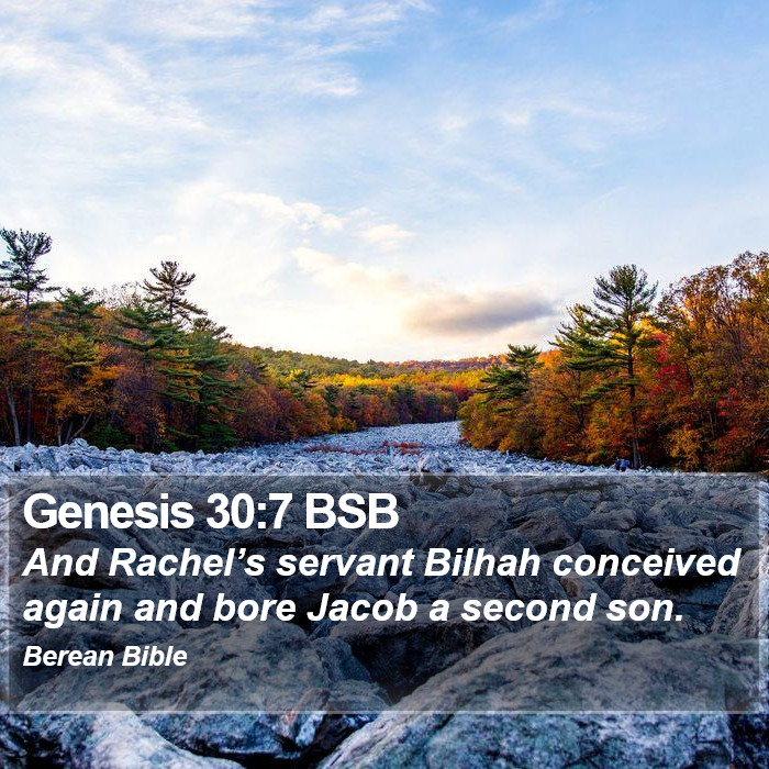 Genesis 30:7 BSB Bible Study