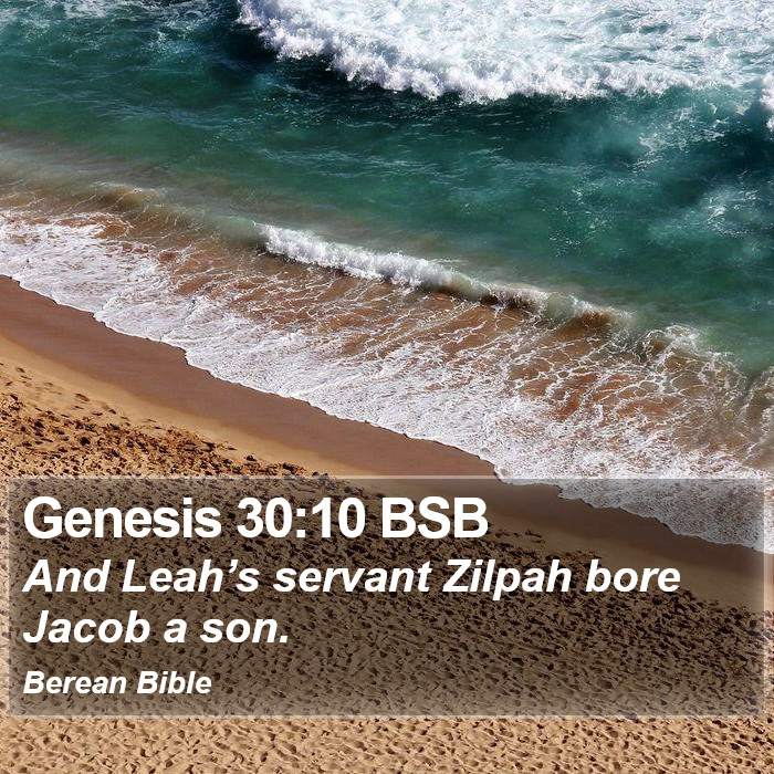 Genesis 30:10 BSB Bible Study