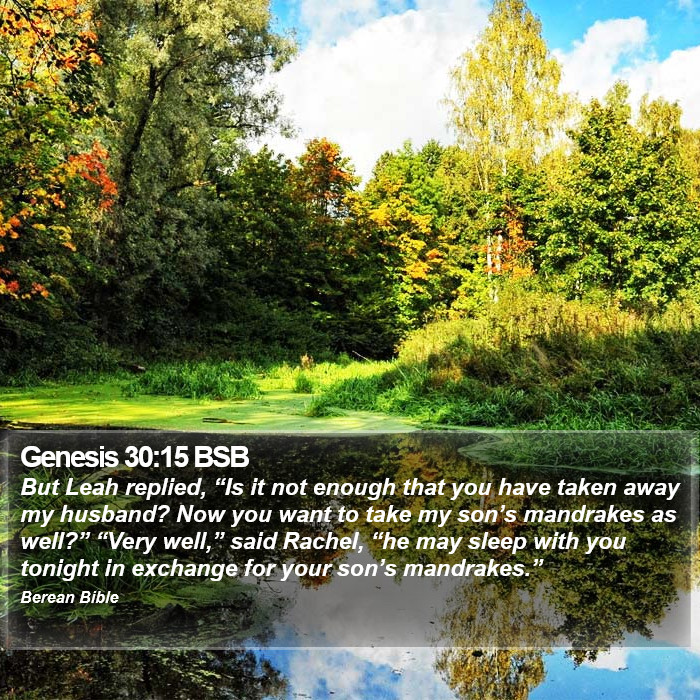 Genesis 30:15 BSB Bible Study