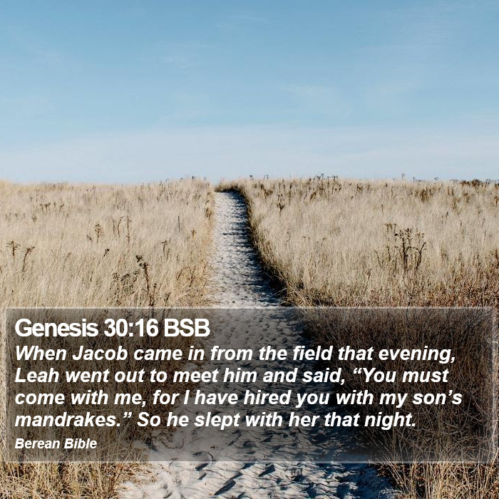 Genesis 30:16 BSB Bible Study