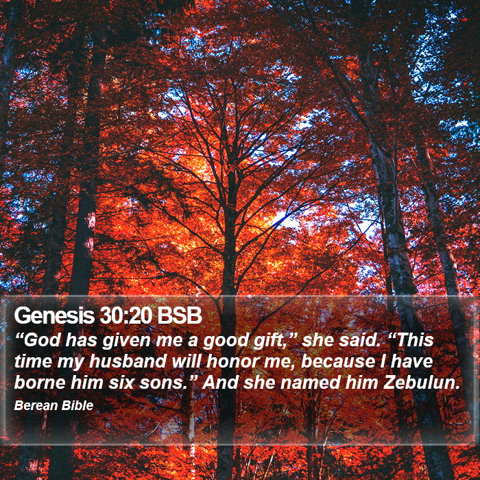 Genesis 30:20 BSB Bible Study