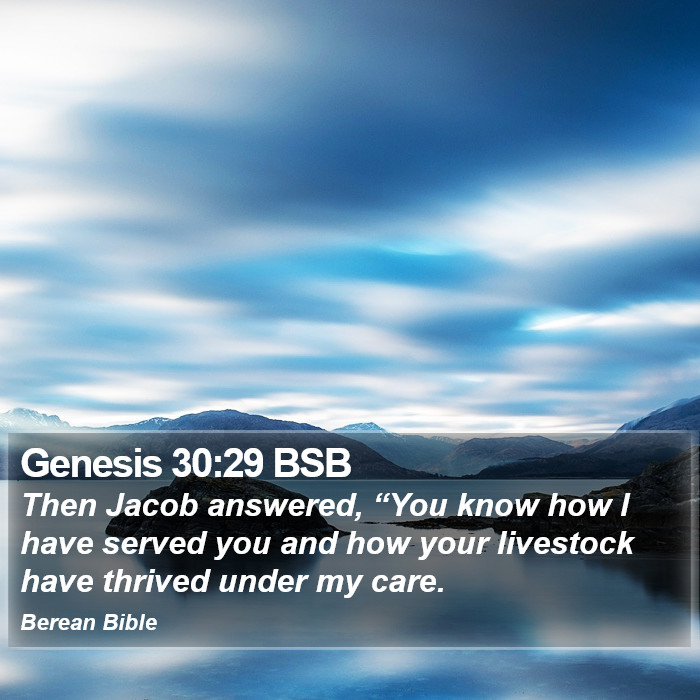 Genesis 30:29 BSB Bible Study