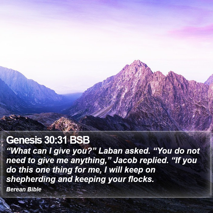 Genesis 30:31 BSB Bible Study