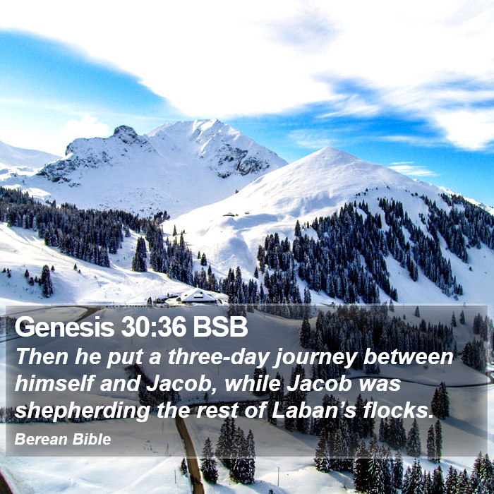 Genesis 30:36 BSB Bible Study