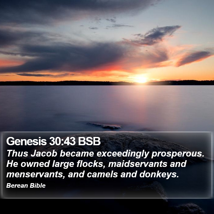 Genesis 30:43 BSB Bible Study