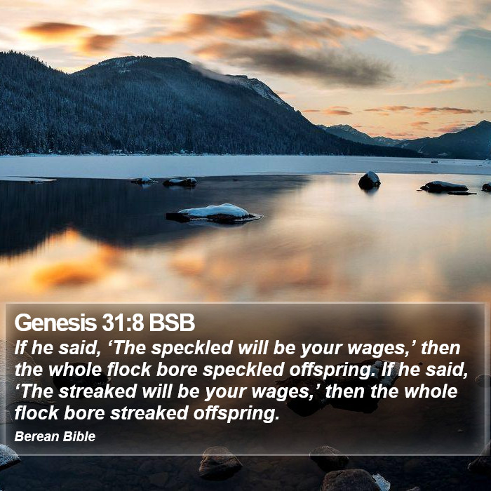 Genesis 31:8 BSB Bible Study