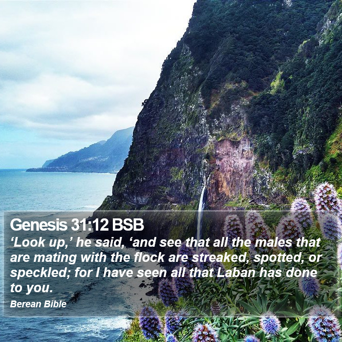 Genesis 31:12 BSB Bible Study