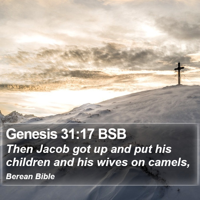 Genesis 31:17 BSB Bible Study