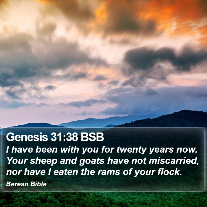 Genesis 31:38 BSB Bible Study