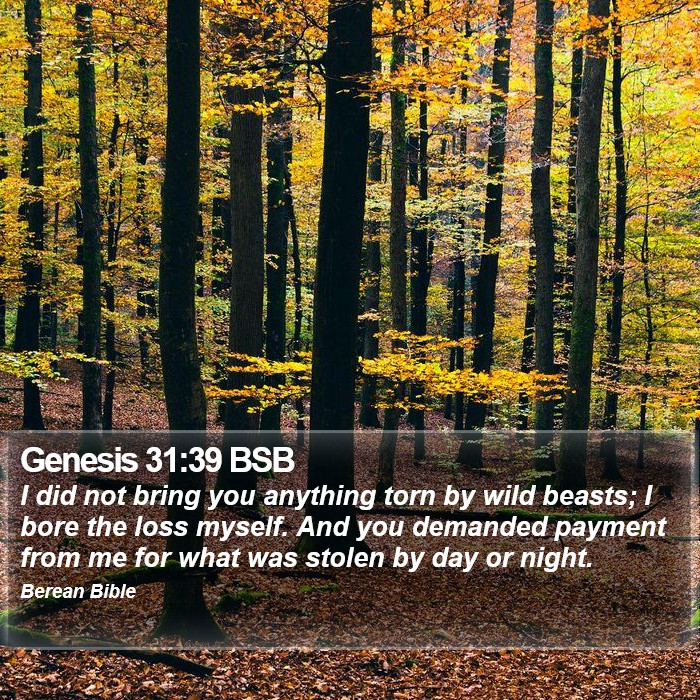 Genesis 31:39 BSB Bible Study