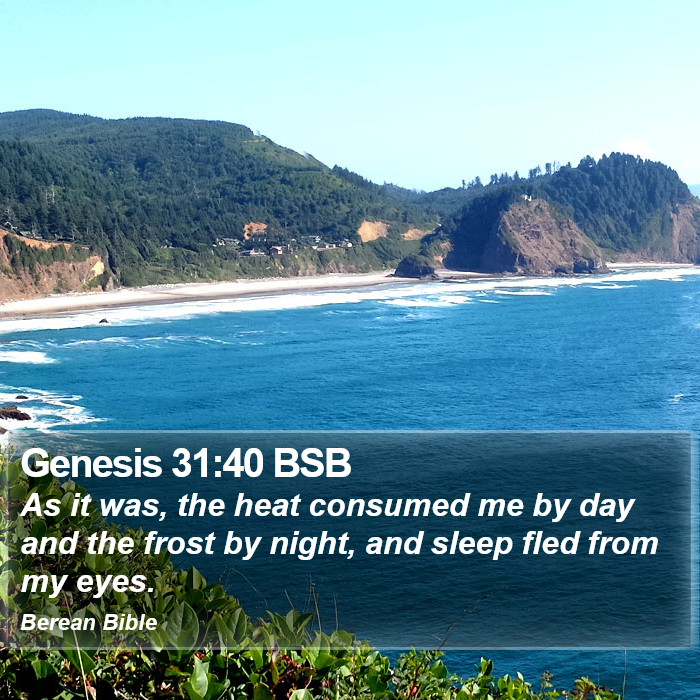 Genesis 31:40 BSB Bible Study