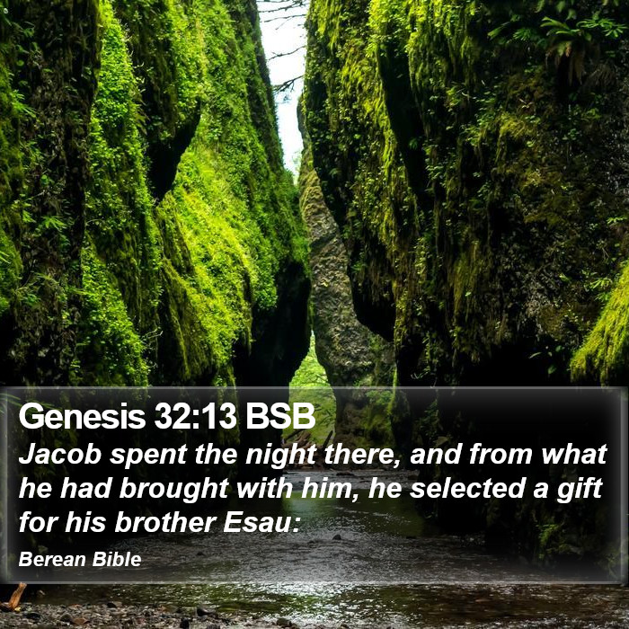 Genesis 32:13 BSB Bible Study