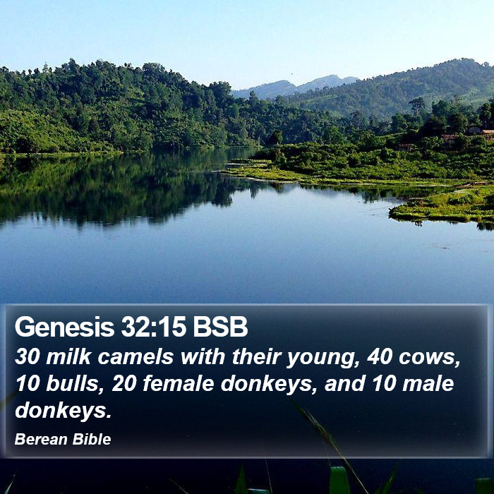 Genesis 32:15 BSB Bible Study