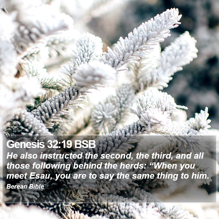 Genesis 32:19 BSB Bible Study