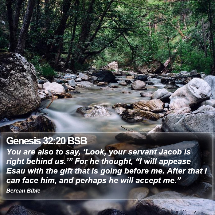 Genesis 32:20 BSB Bible Study