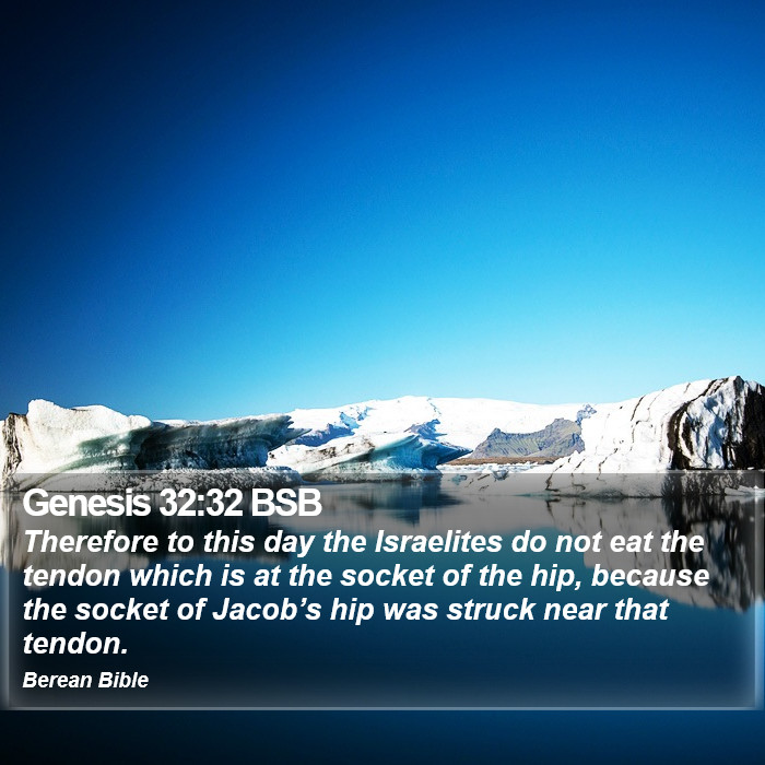 Genesis 32:32 BSB Bible Study