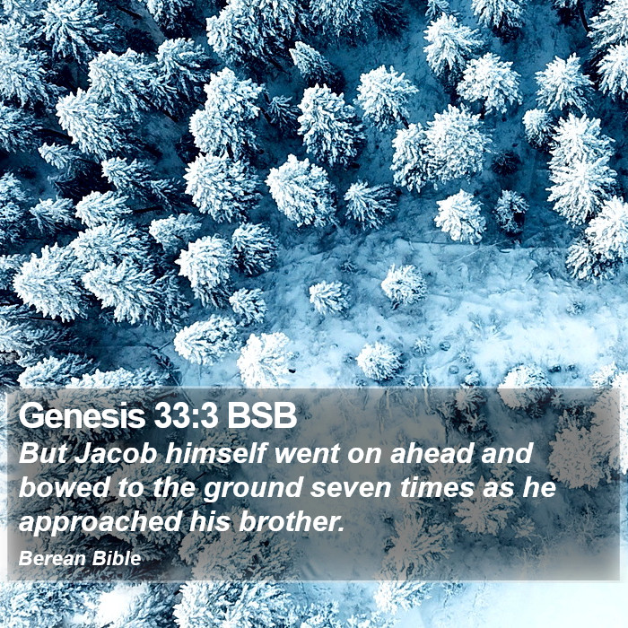 Genesis 33:3 BSB Bible Study