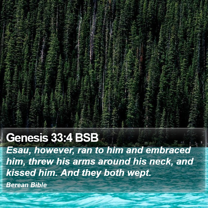 Genesis 33:4 BSB Bible Study