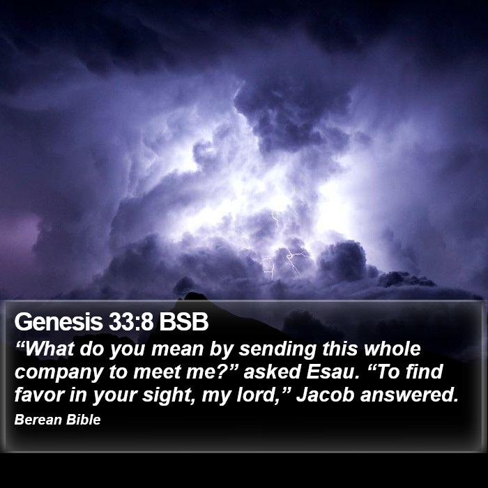 Genesis 33:8 BSB Bible Study