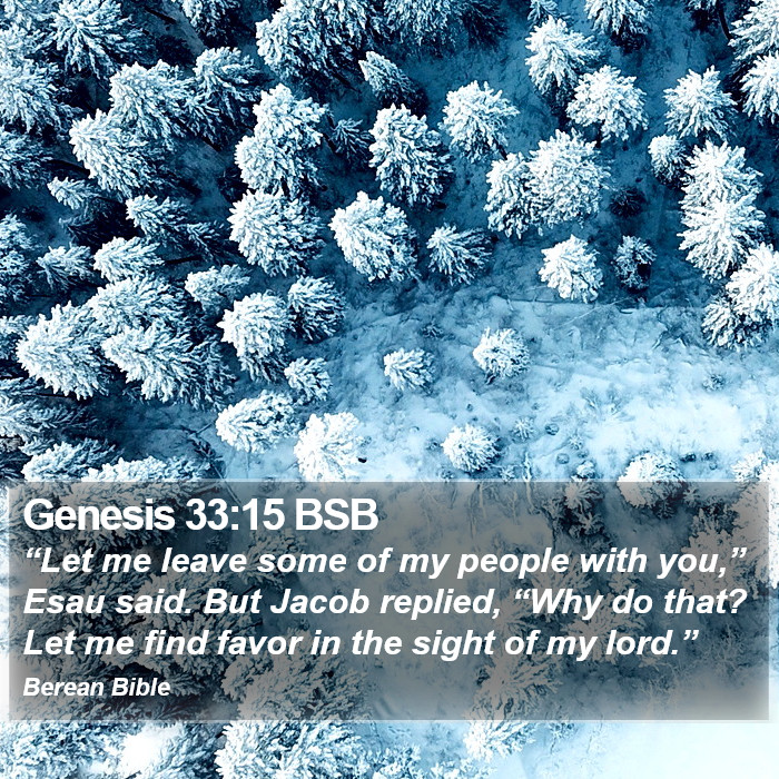 Genesis 33:15 BSB Bible Study