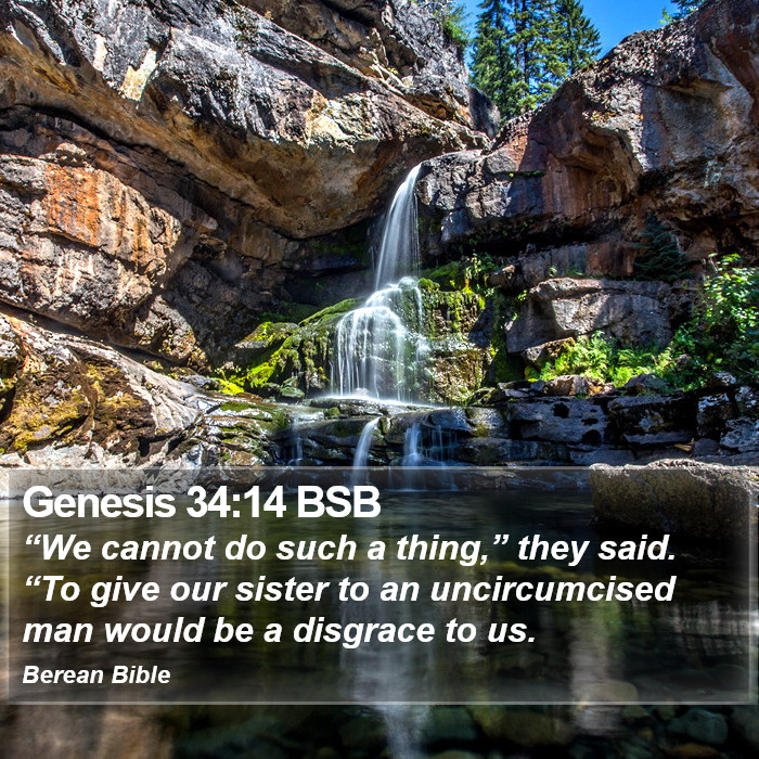 Genesis 34:14 BSB Bible Study