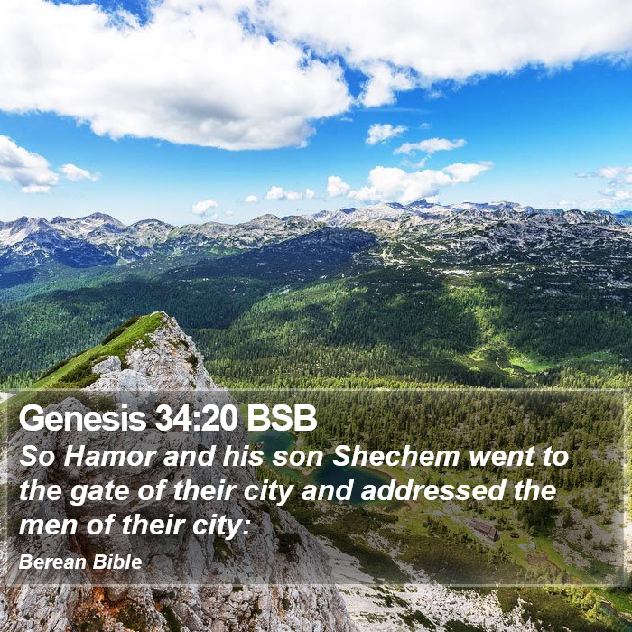 Genesis 34:20 BSB Bible Study