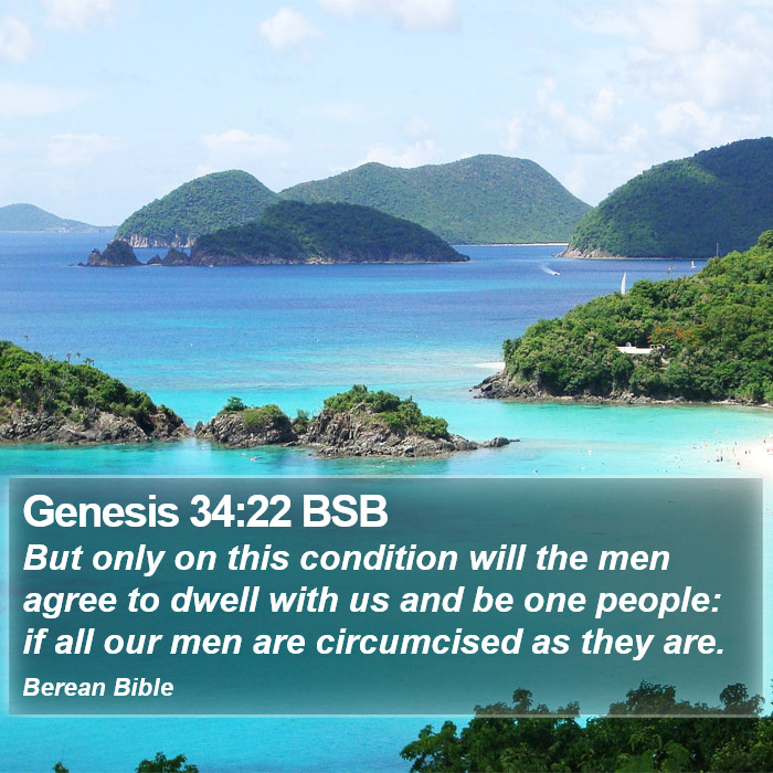 Genesis 34:22 BSB Bible Study