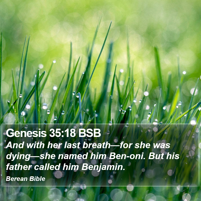 Genesis 35:18 BSB Bible Study