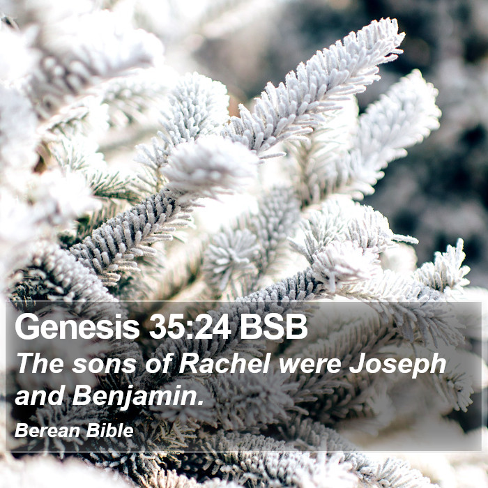 Genesis 35:24 BSB Bible Study