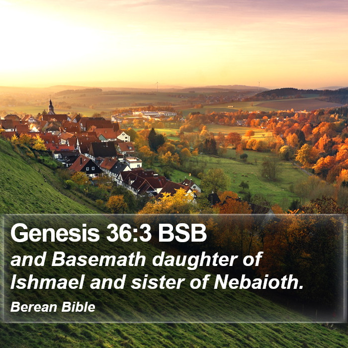 Genesis 36:3 BSB Bible Study