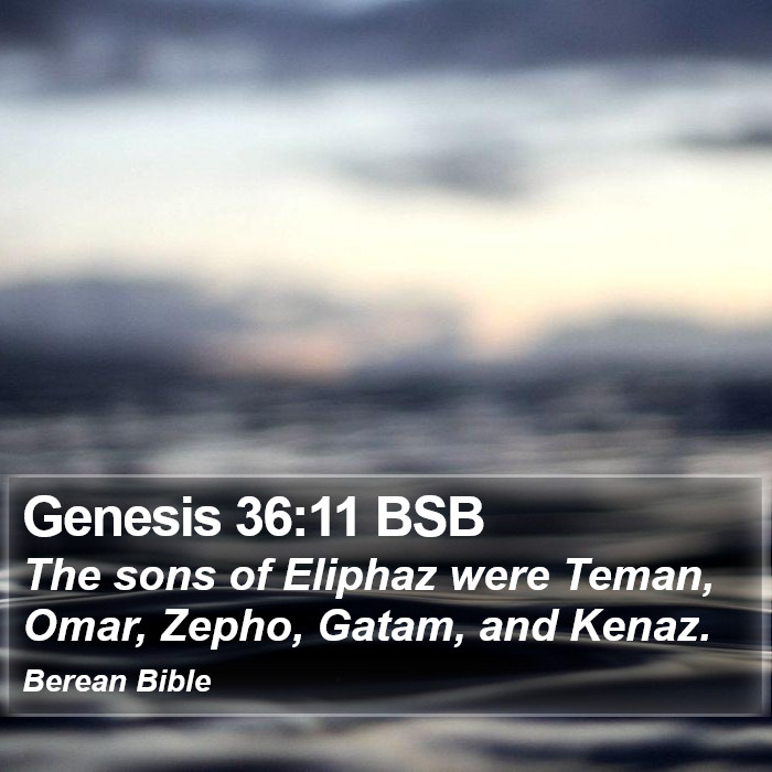 Genesis 36:11 BSB Bible Study