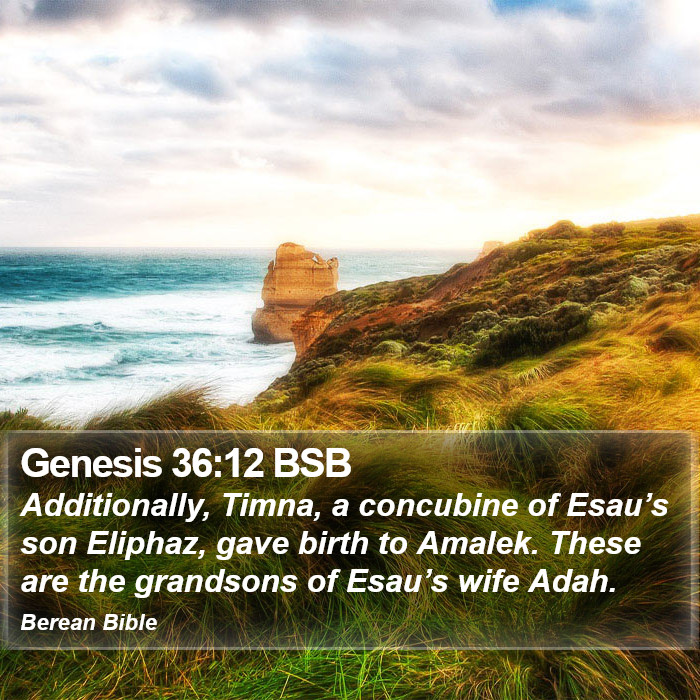 Genesis 36:12 BSB Bible Study