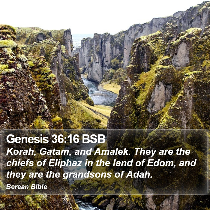 Genesis 36:16 BSB Bible Study