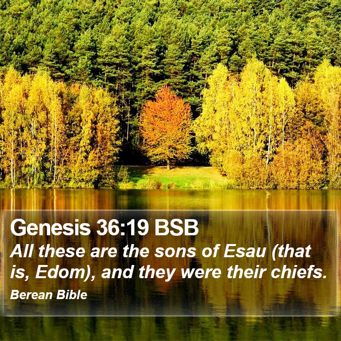 Genesis 36:19 BSB Bible Study