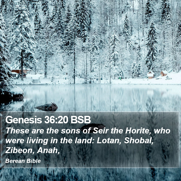 Genesis 36:20 BSB Bible Study