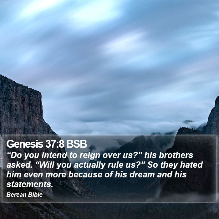 Genesis 37:8 BSB Bible Study