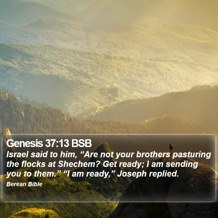 Genesis 37:13 BSB Bible Study