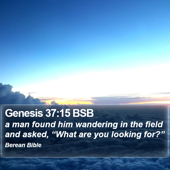 Genesis 37:15 BSB Bible Study